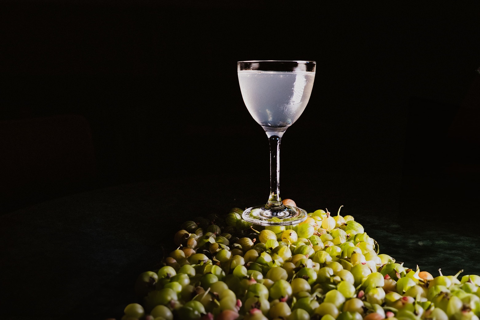 Bijou_play gooseberry(1).jpg