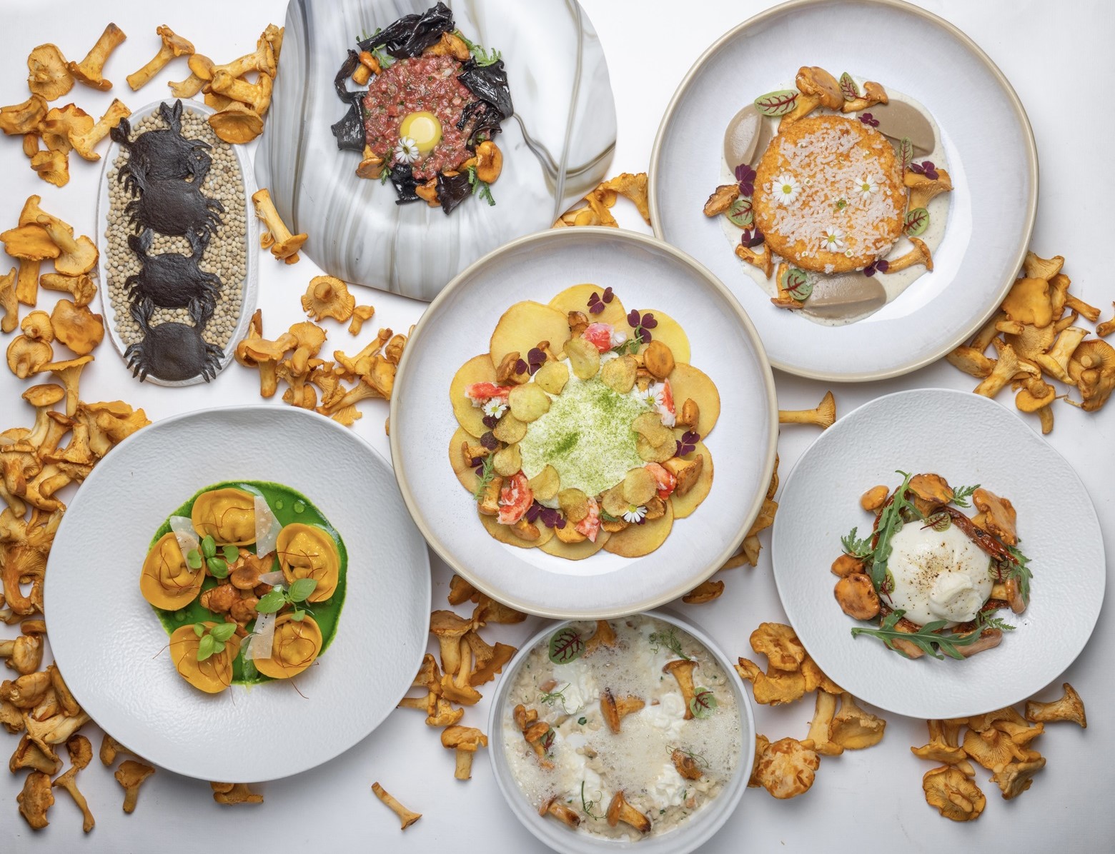 Сезон лисичек (1).JPG