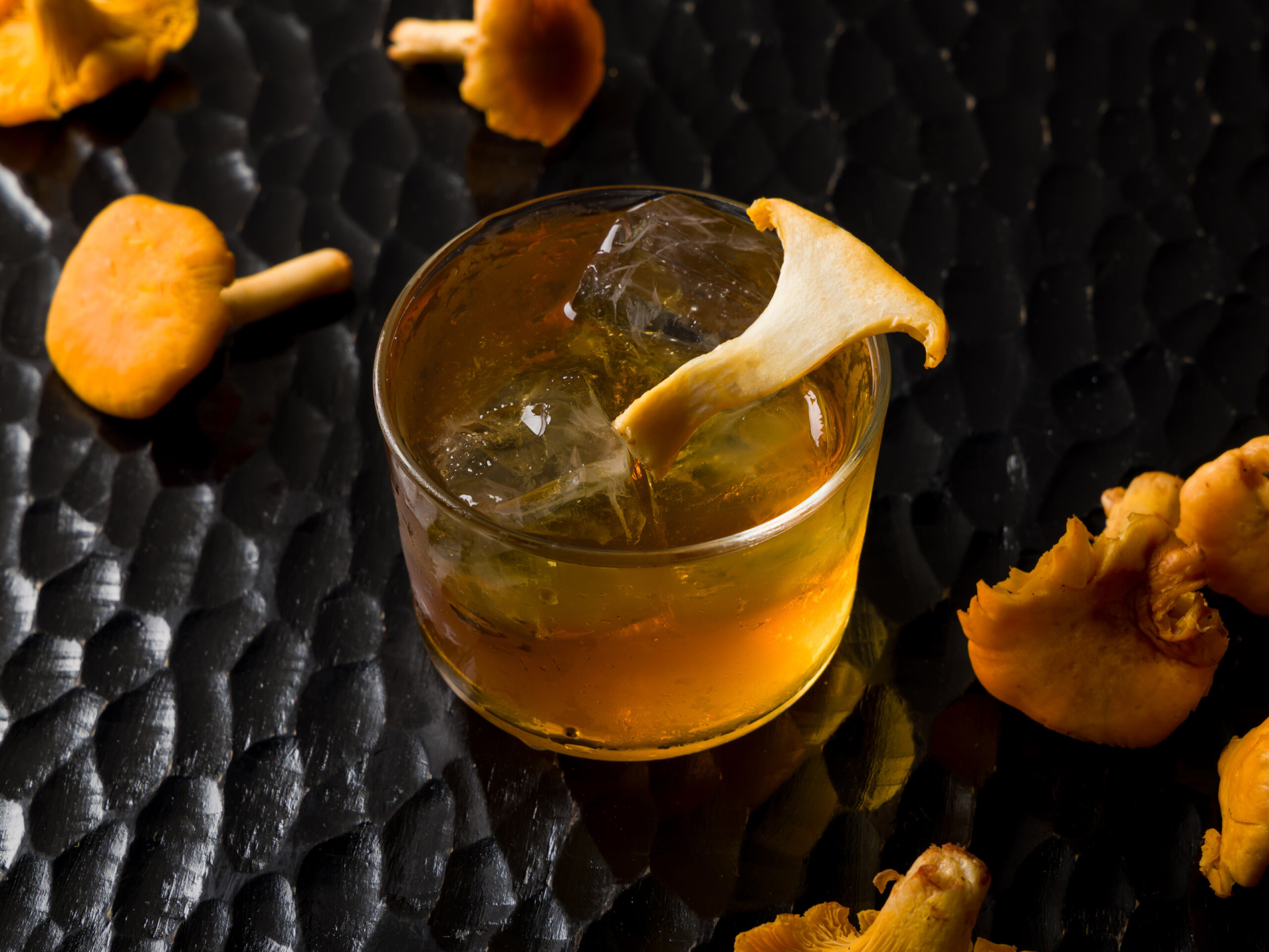 Mushroom Negroni _DND.jpg